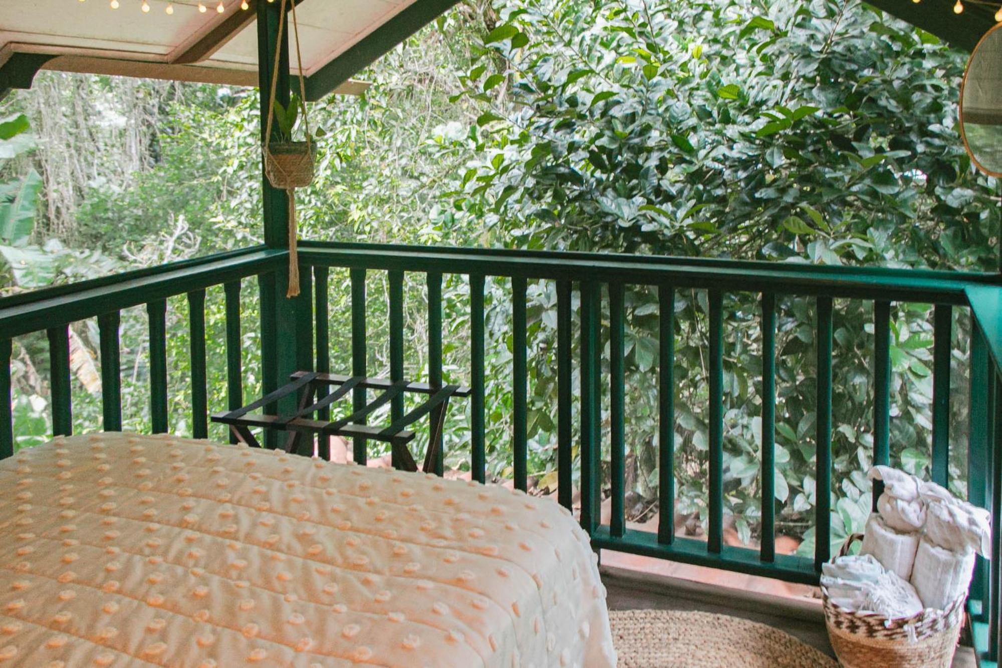 Casa De Mono Bocas Bed & Breakfast Big Creek Exterior photo