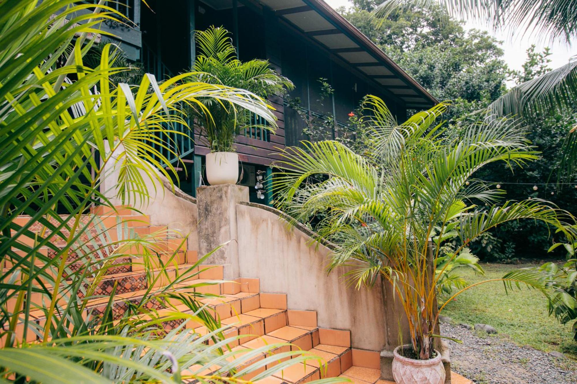 Casa De Mono Bocas Bed & Breakfast Big Creek Exterior photo