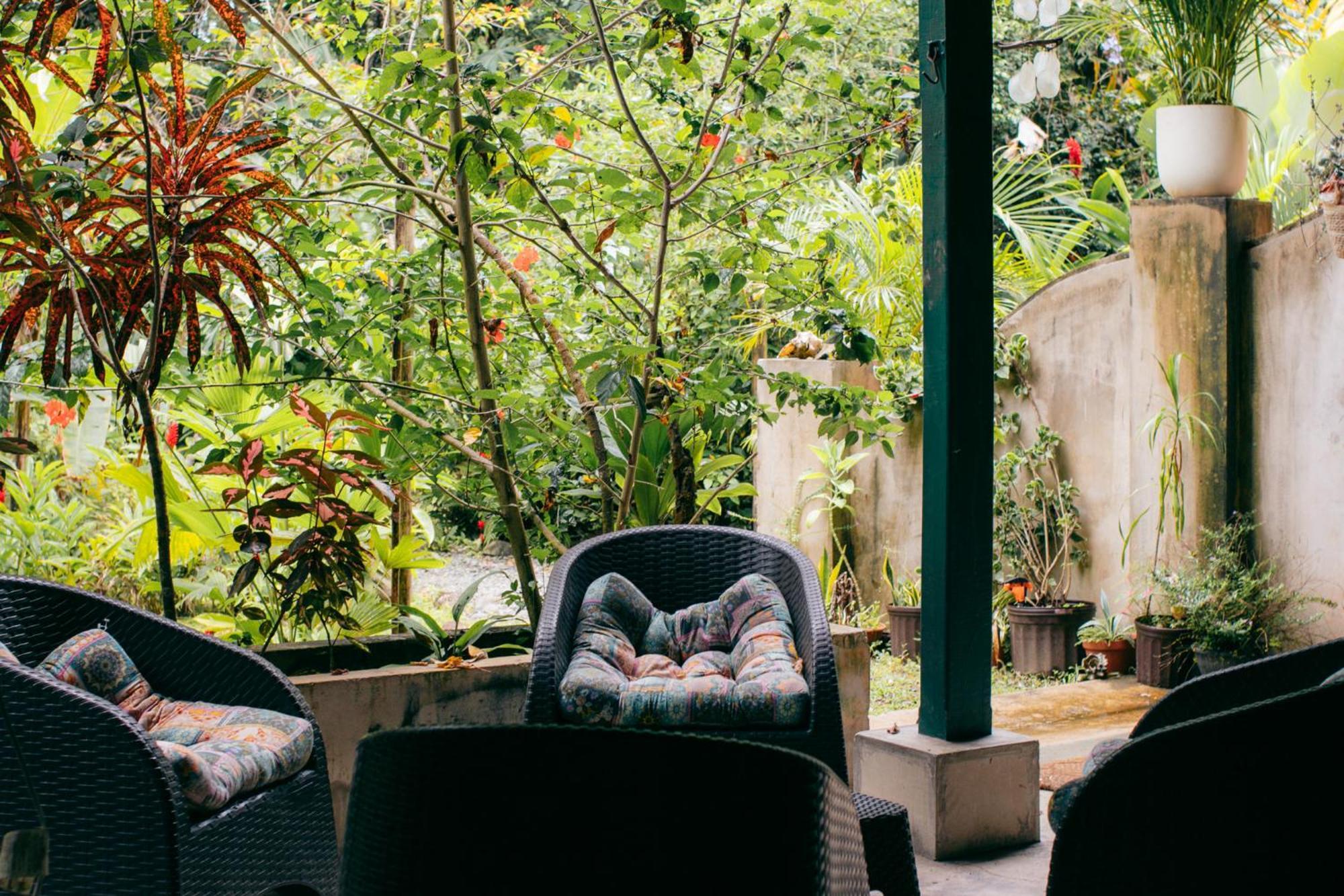 Casa De Mono Bocas Bed & Breakfast Big Creek Exterior photo