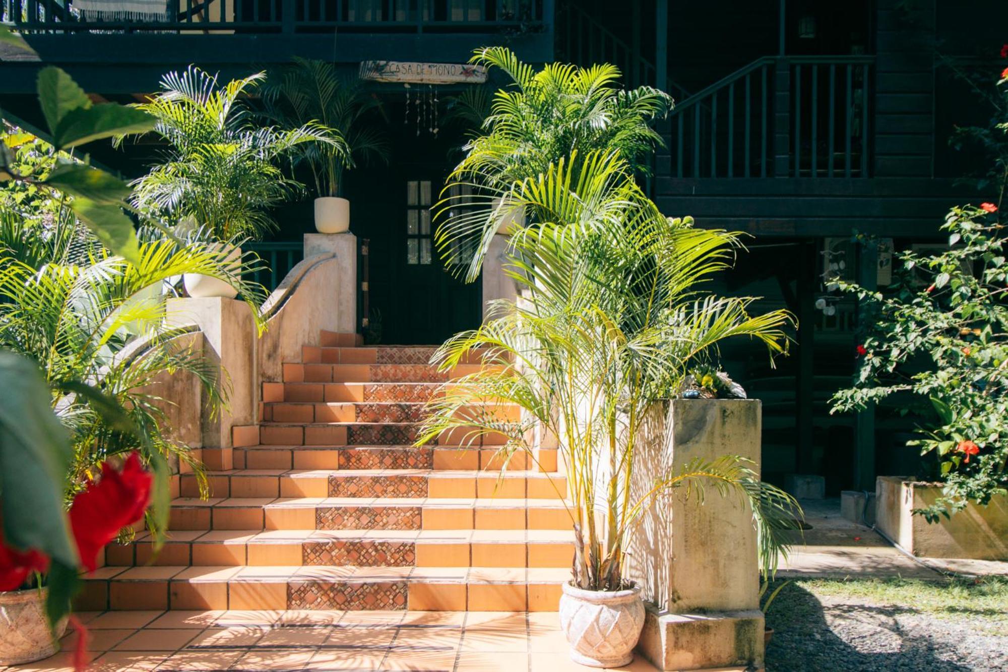 Casa De Mono Bocas Bed & Breakfast Big Creek Exterior photo