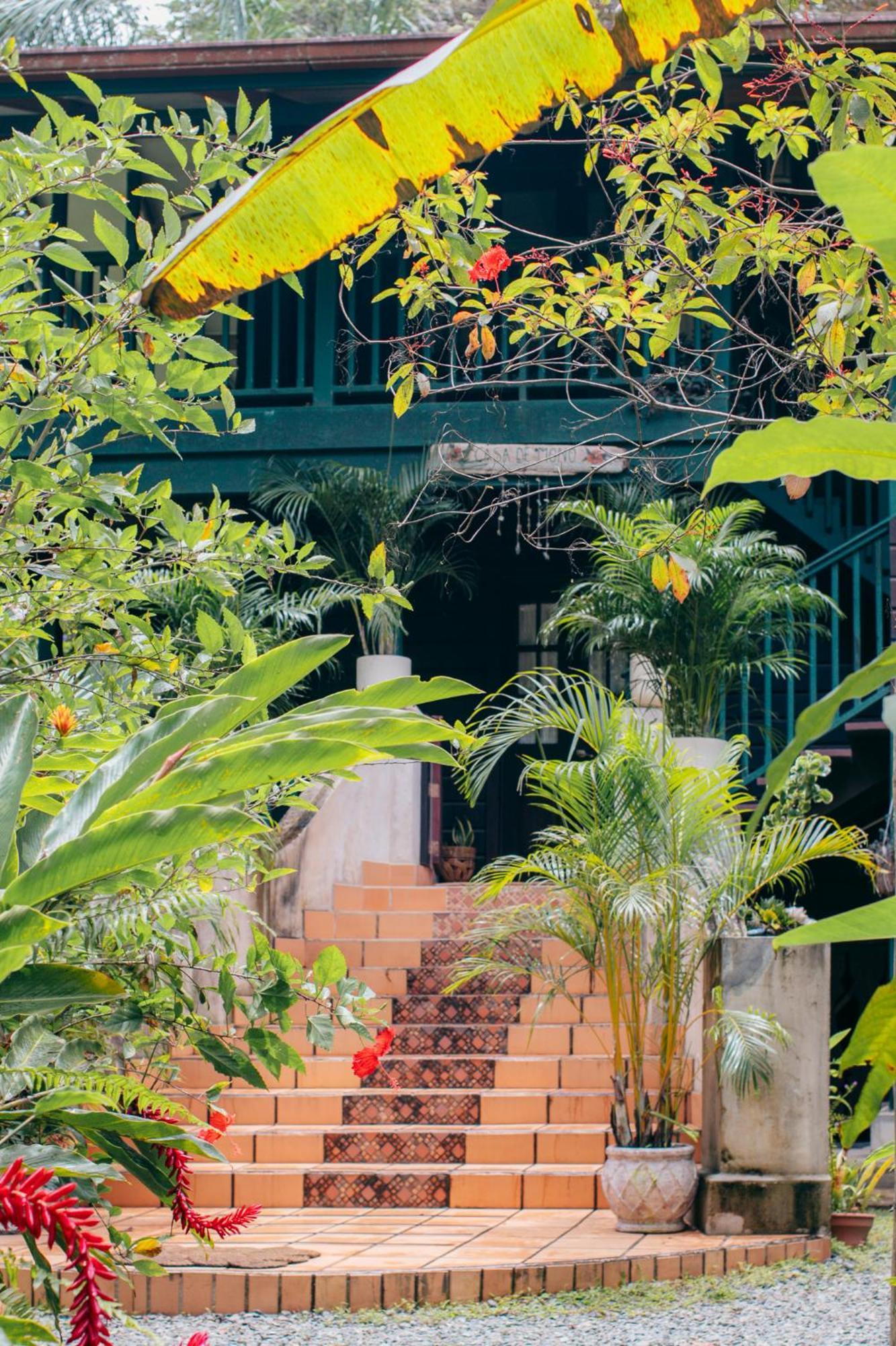 Casa De Mono Bocas Bed & Breakfast Big Creek Exterior photo