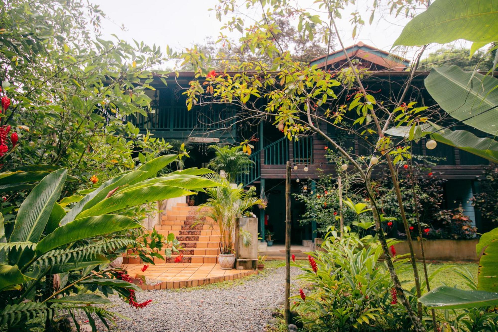 Casa De Mono Bocas Bed & Breakfast Big Creek Exterior photo